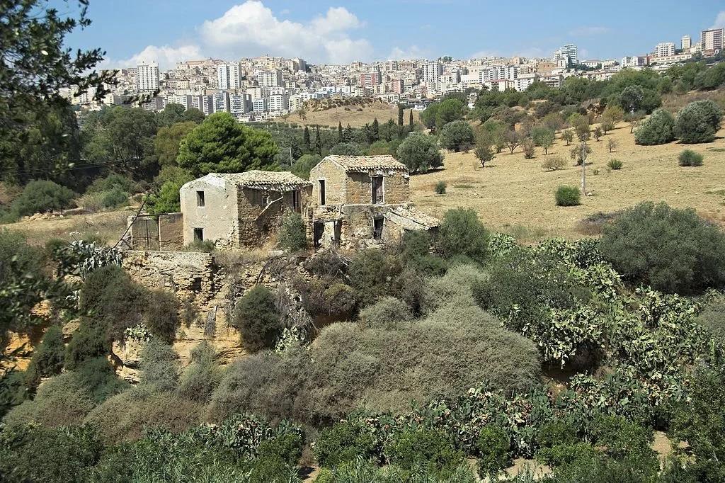 Árvores e campos do Giardino della Kolymbetra