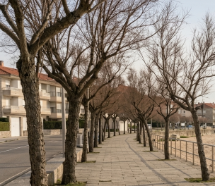 Scelta tra centro e costa